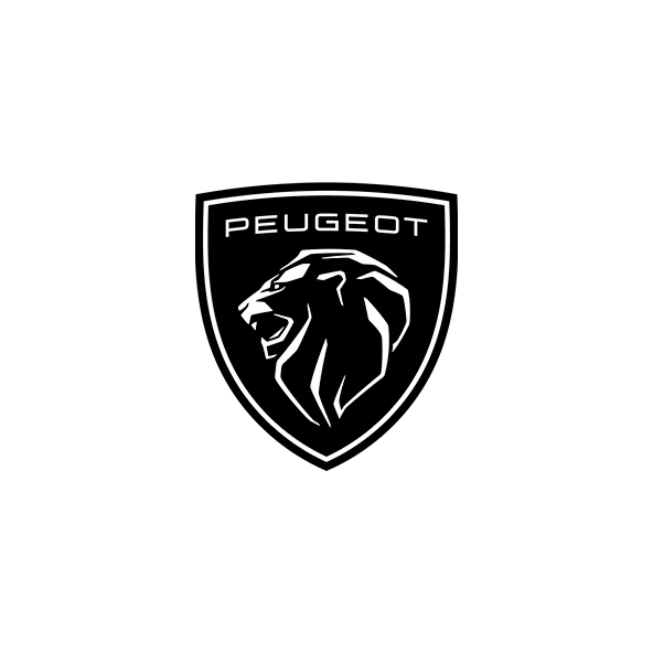 Peugeot - Ferodo Racing