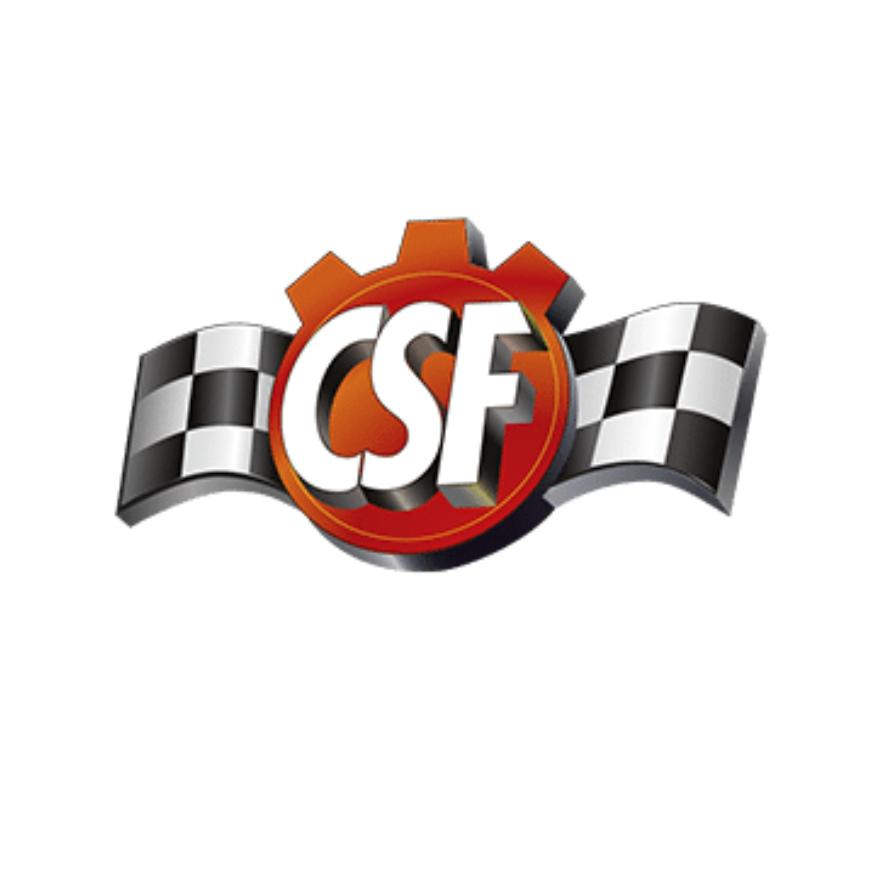CSF