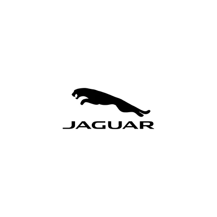JAGUAR DOWNPIPE