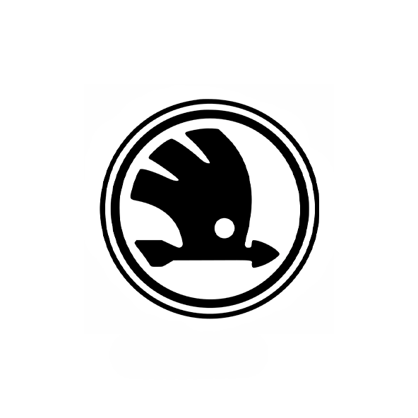 SKODA DOWNPIPE