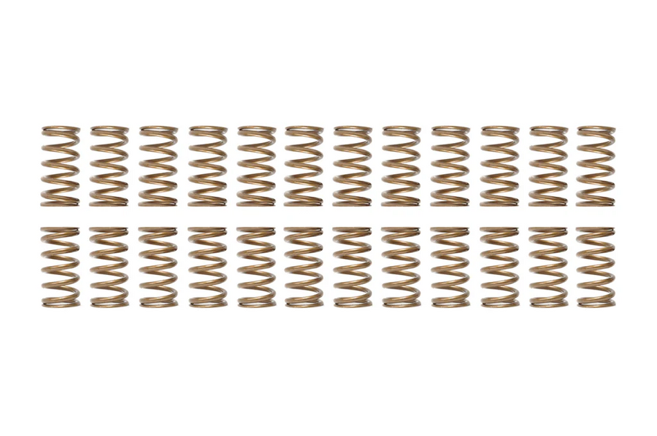 Ferrea Single Valve Springs - Nissan R35 GT-R VR38DETT